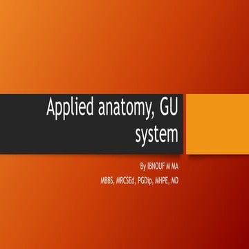Applied anatomy, GU system.pptx