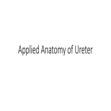Applied Anatomy of Ureter in detail for urologist
