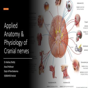 Applied Anatomy &Physiology of Cranial nerves [Autosaved].pptx