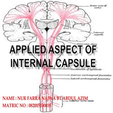 Applied aspect of internal capsule