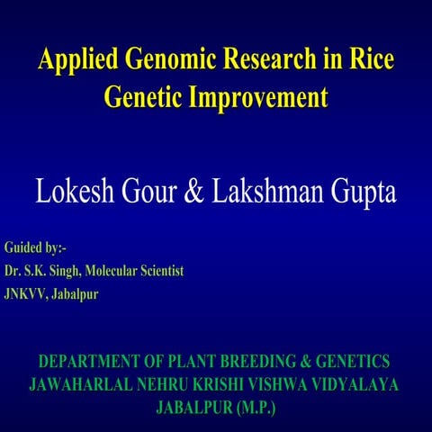 Applied genomic research in rice genetic improvement (2)