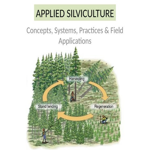 Introduction to Silviculture and Applied Silviculture | PPTX