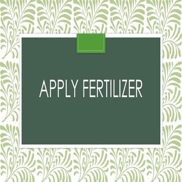 Apply fertilizer- apply fertilizer-applying fertilizer in the field