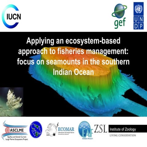 Applying an ecosystem-based approach to fisheries management: focus on seamou...