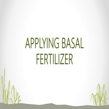 APPLYING BASAL FERTILIZER.pptx