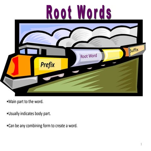 Apply your knowledge root word.for project | PPTX