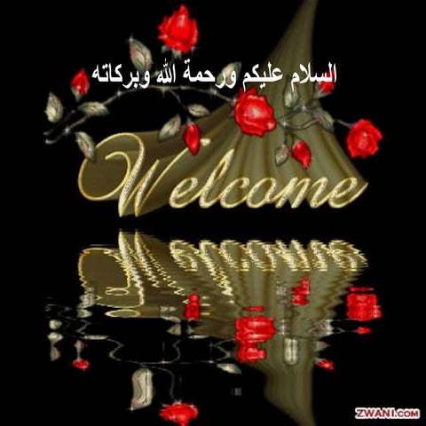 Appraising safety performance