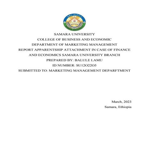 apprentship report.docx