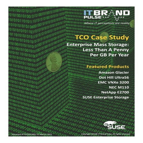 Enterprise Mass Storage TCO Case Study