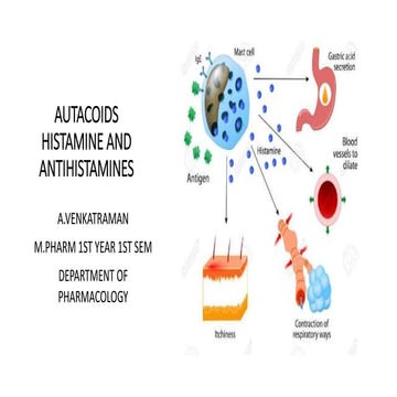 Histamines and Antihistamines