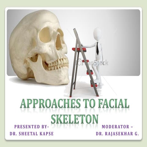 Approaches to maxillofacial skeleton