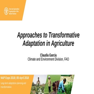 Approaches to Transformative Adaptation in Agriculture 
