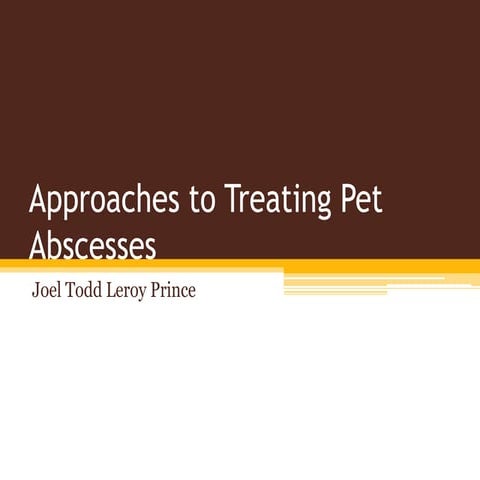Understanding Cat Bites | PPTX