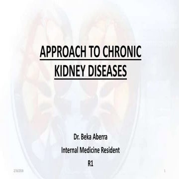 Approach to Chronic Kidney Diseases