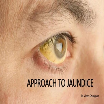 Approach to Jaundice