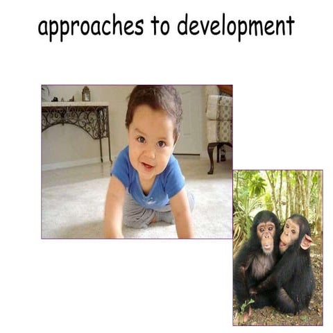 theories of development psychology