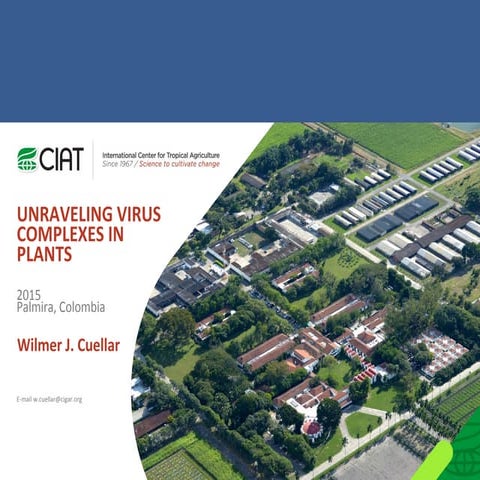Unraveling Virus Complexes in Plants/ CIAT APR 2015