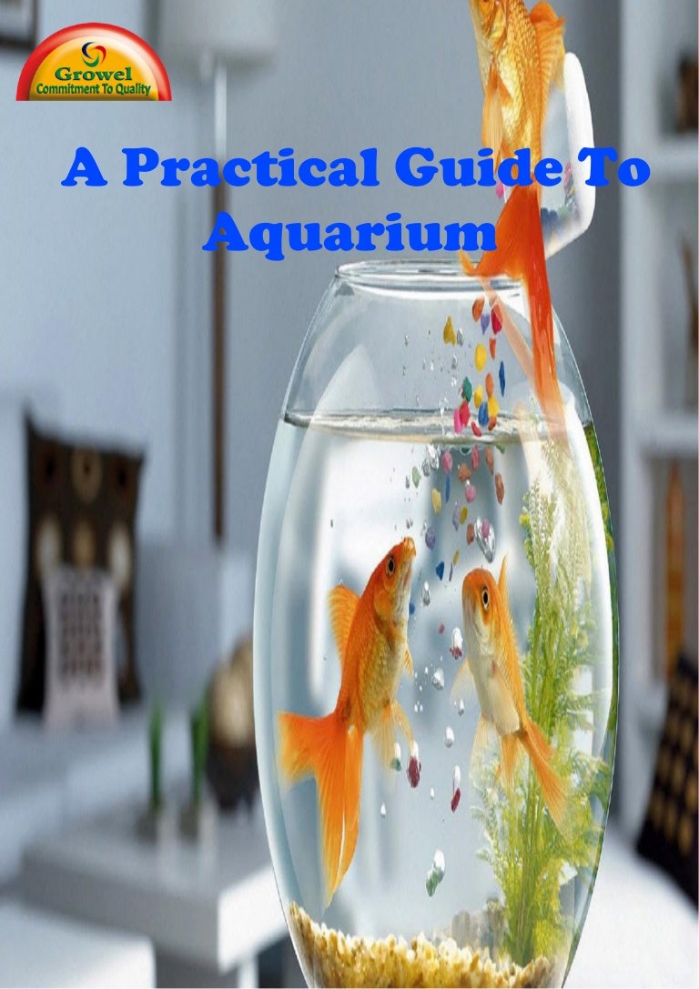 a practical guide to