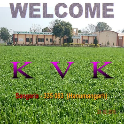 Annual Report KVK Sangaria (2014-15)