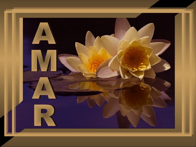 Aprendendo a amar s   25 a