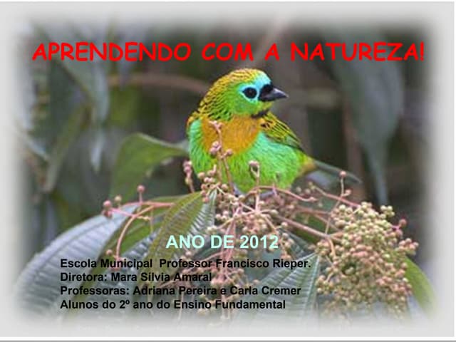 Aprendendo com a natureza