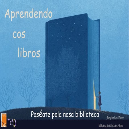 Aprendendo cos libros
