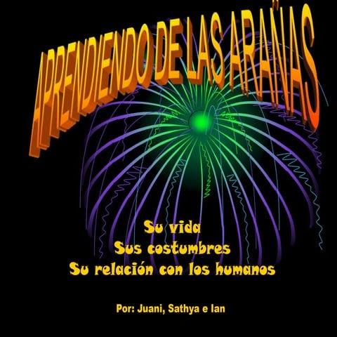 Aprendiendo de las arañas