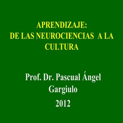Aprendizaje de-las-neurociencias-a-la-cultura