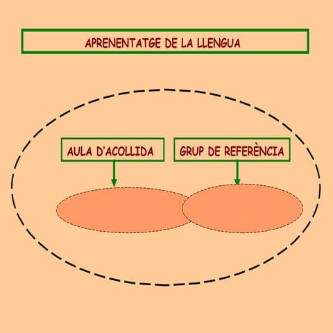 Aprenentatge De La Llengua