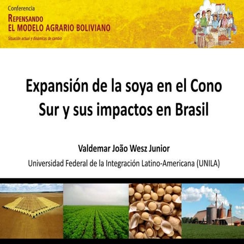 Expansión de la soya en el Cono Sur y sus impactos en Brasil