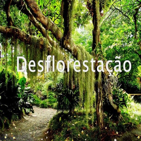 Desflorestação