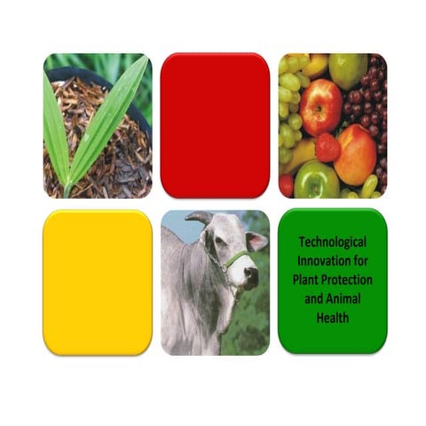 Apresentacao Omc Fev 2009