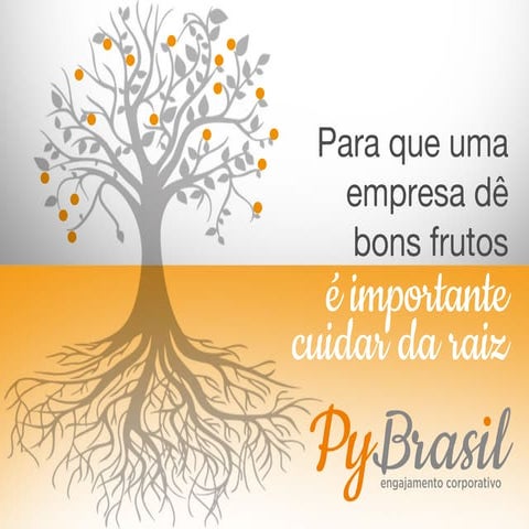 Py Brasil - Engajamento Corporativo