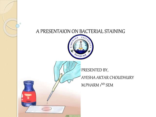 A presentaion on bacterial  staining