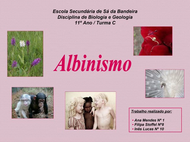 Albinismo
