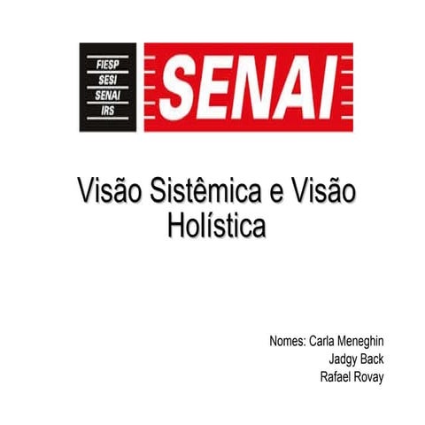 Visão sistêmica e visão holística