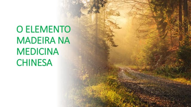 A importância do elemento madeira na medicina chinesa | PPTX