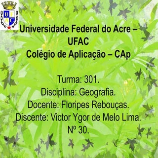 Apresentação   amazônia