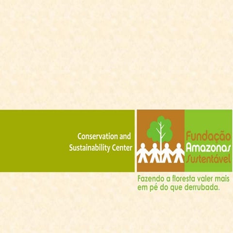 Lessons learned from sustainable development in the Amazon | PDF