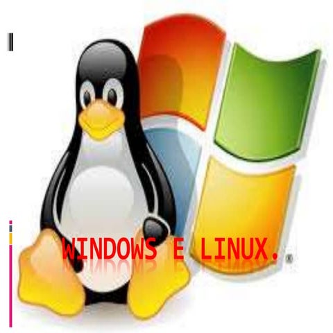Windows  x Linux