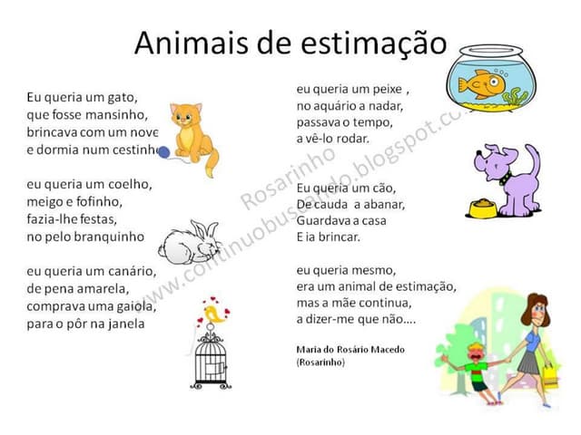 animais de estimação