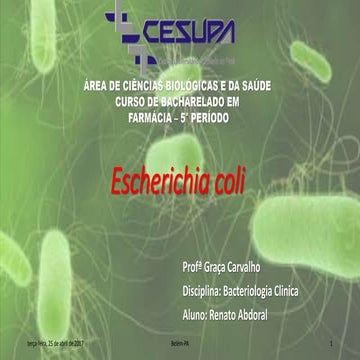 estudo da bactéria Escherichia coli