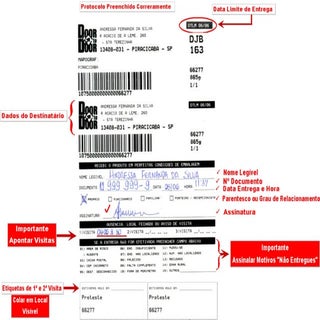 Apresentação2   protocolo d2 d