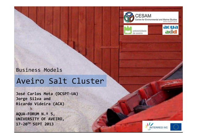 Aveiro Salt Cluster