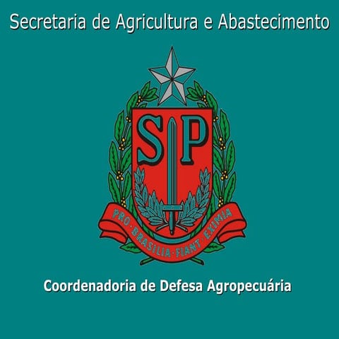 SISP | PPT