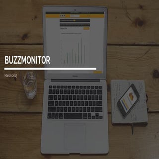 Presentation Buzzmonitor