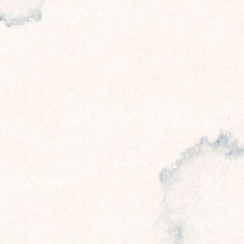 Apresentação Marca dia Mundial da Água