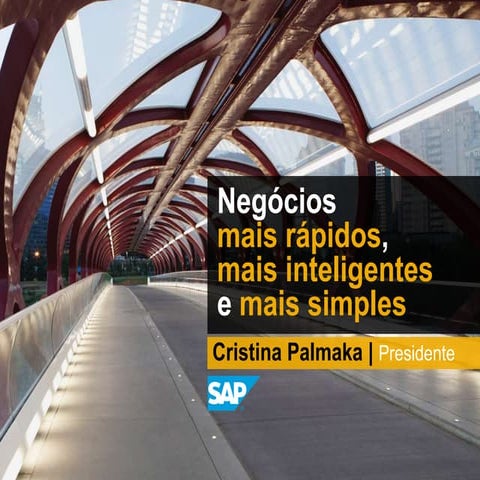 Cris Palmaka - Negócios mais rápidos, mais inteligentes e mais simples