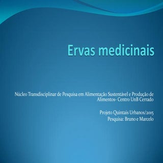 Apresentação ervas medicinais. pdf