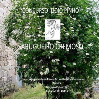 Apresentação ilidio pinho